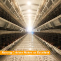 China fabrica jaulas de aves de corral automáticas de venta directa para pollo con huevo